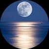 mooncloset0617